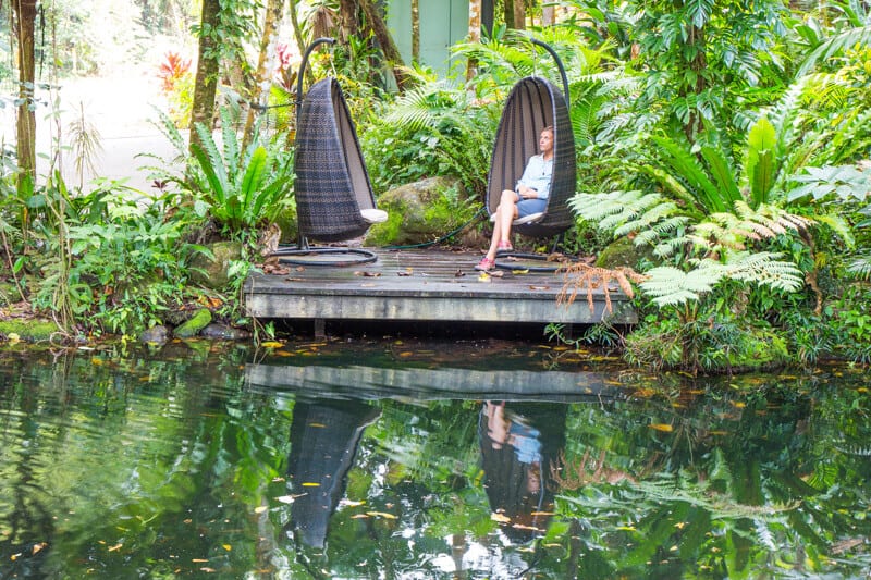 person sitting on a deck in the rainforest