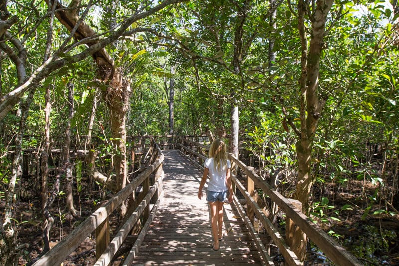 girl walking on a board walk in a forest