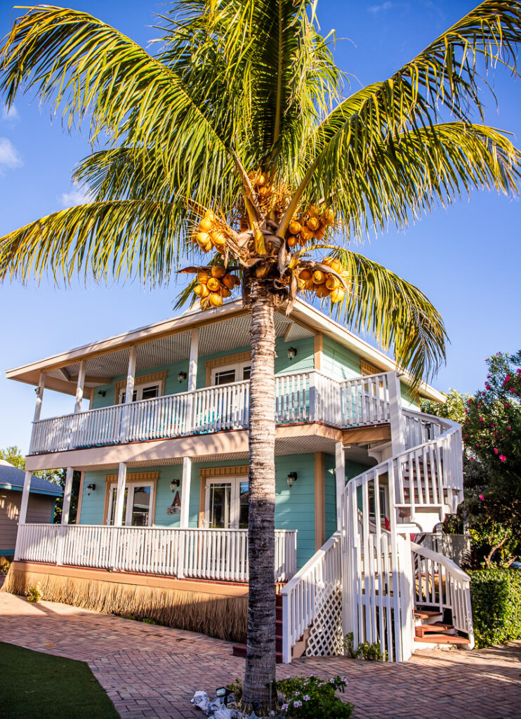 Palm tree in front of a two-story villa