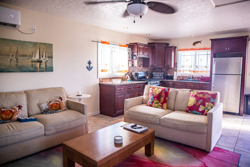 Couches and a kitchen in a living room