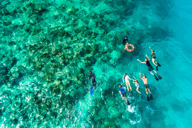 Aerial view of a Master Reef Guide leading guests on an Adventure Drift Snorkel Tour at Opolu Reef