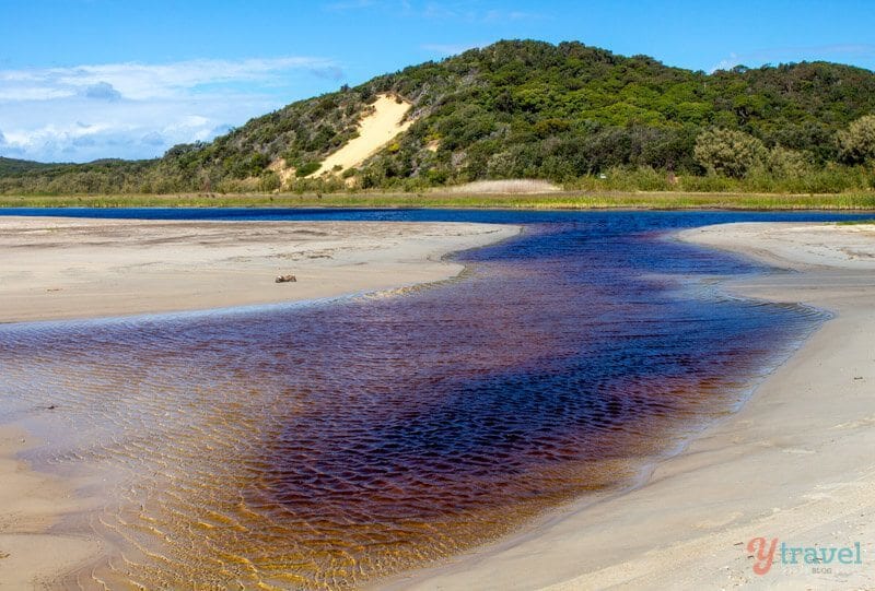 beach with yellow patch of sand in green mountain