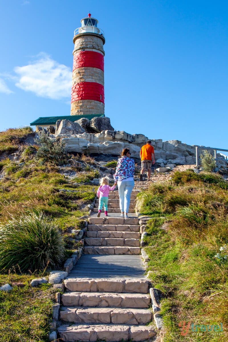 people walking up stairs to red striped Cape Moreton Lighthouse, 