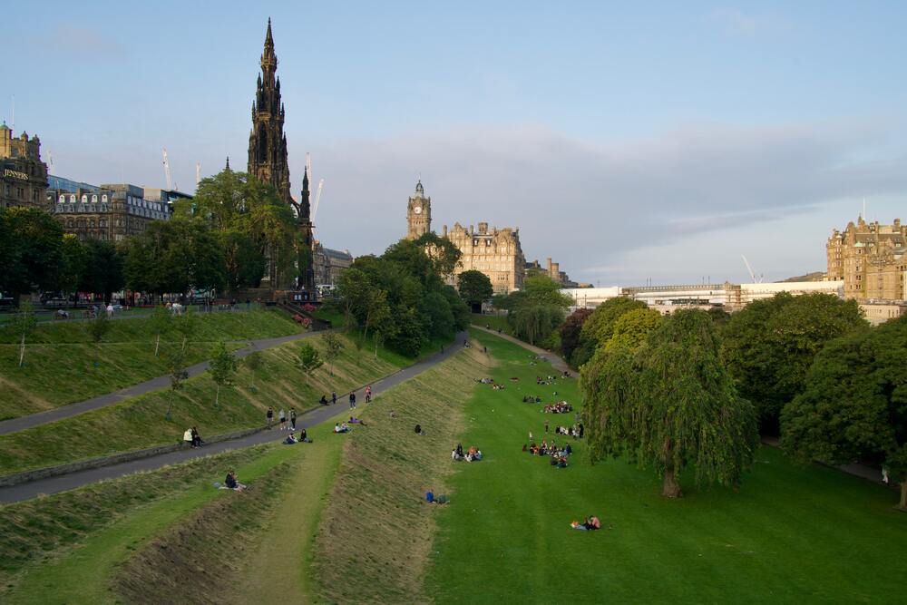 people sitting on grass undertrees