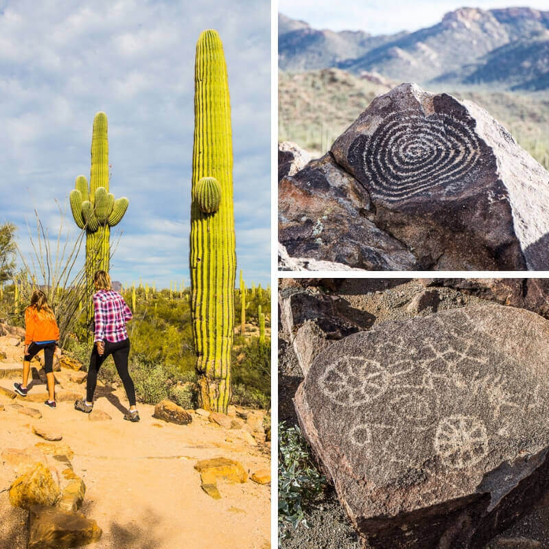 people hiking on trail at Saguaro National Park, Arizona