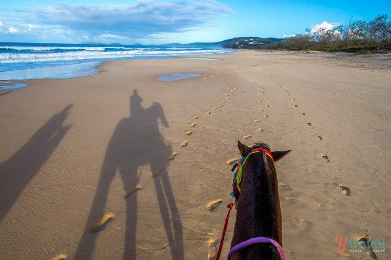 Horse riding on Rainbow Beach, Queensland, Australia