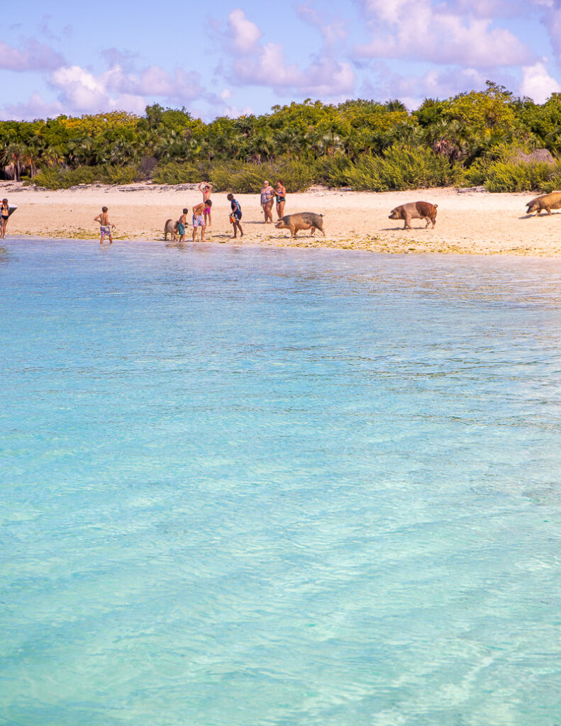 People on the sand at the beach