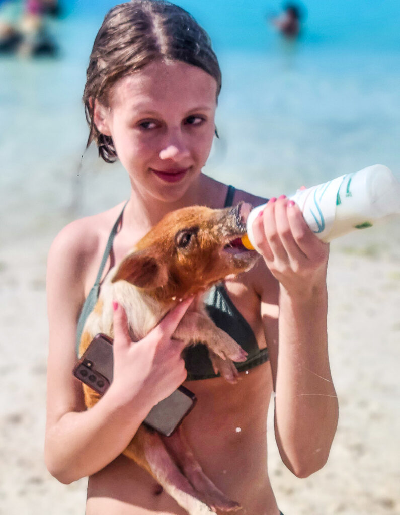 Girl bottle feeding a pig