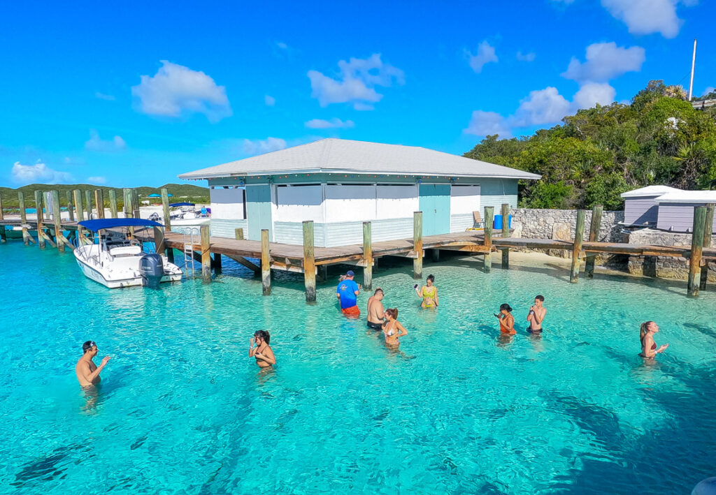 People standing in waist deep blue water with baby sharks swimming