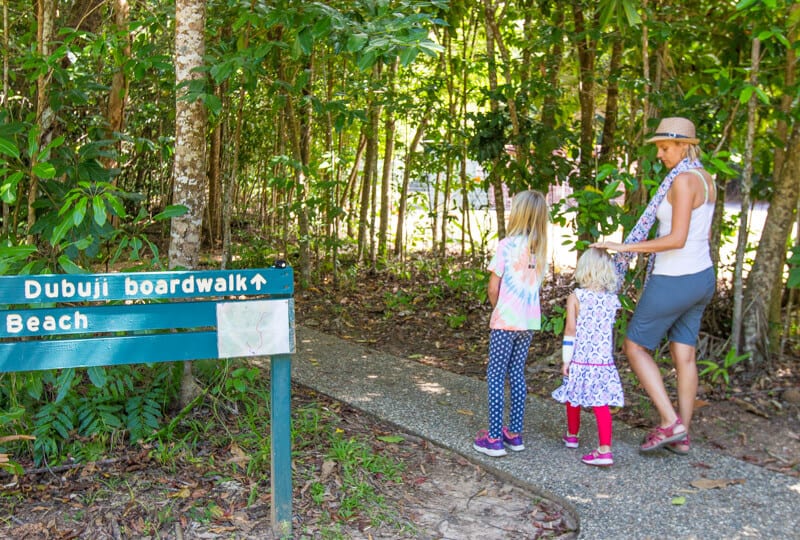 people walking on a path in a forest