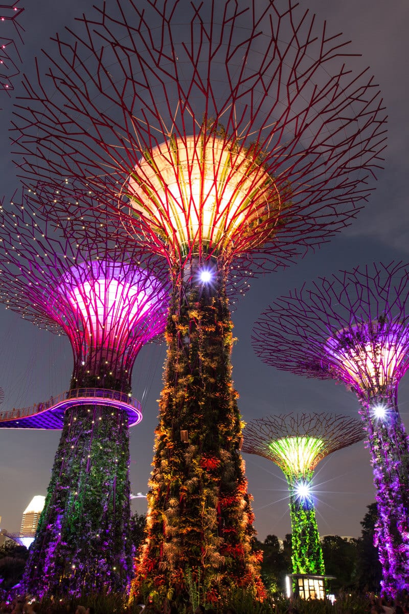 supergrove trees all lit up in colroed lights