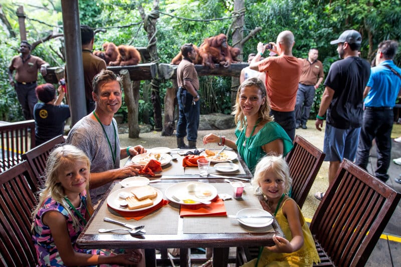 family eating at table with orangutans in the bcakground B