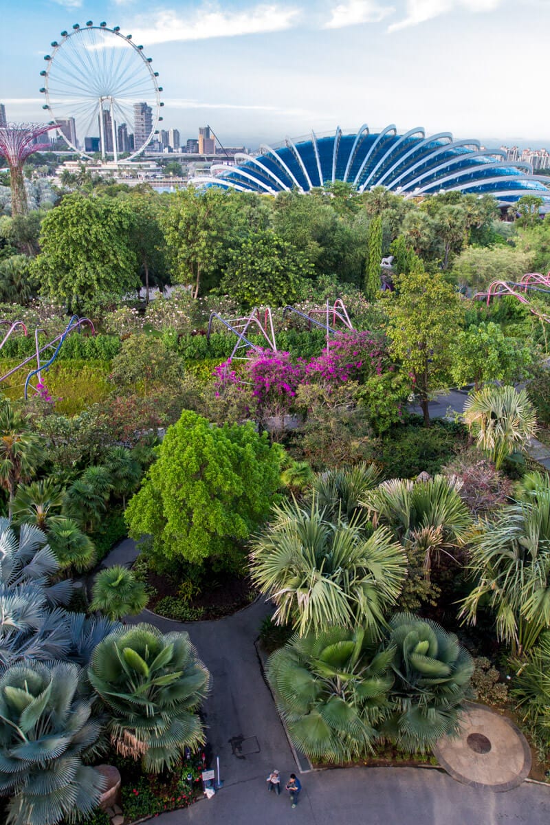 lush Gardens by the Bay 