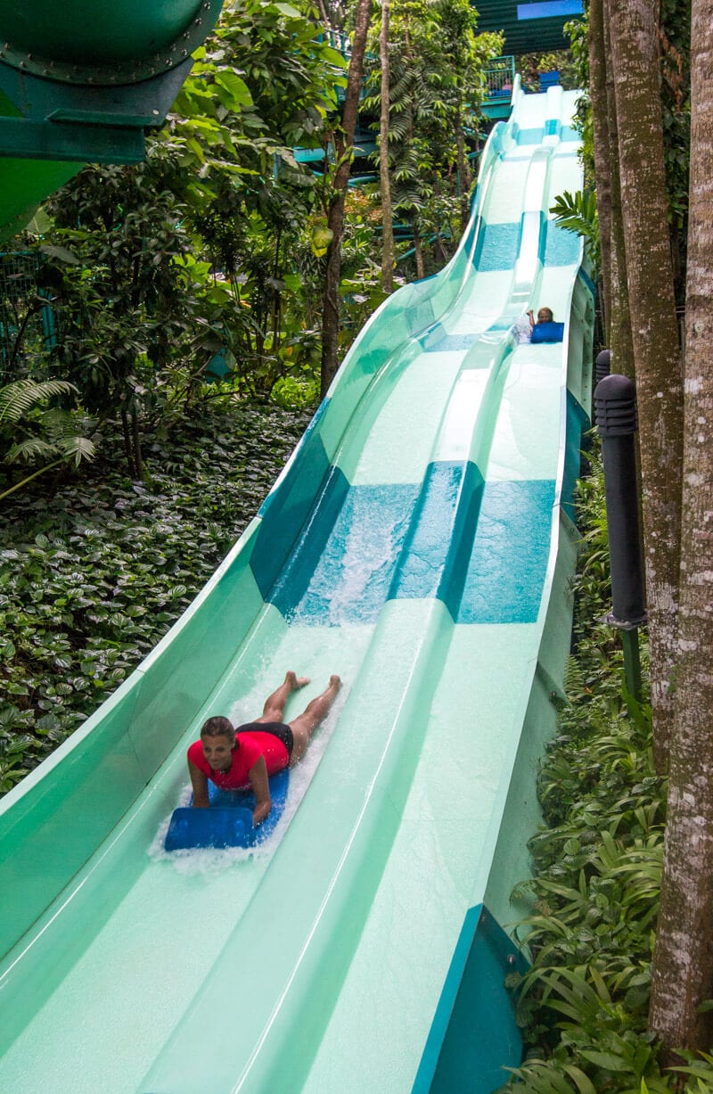 people going down giant waterslide