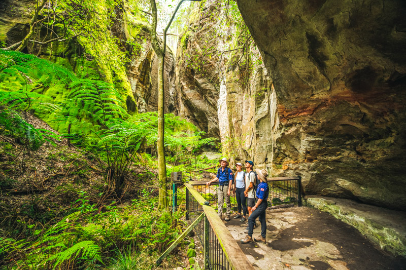 Guided walk with a ranger from CQ Tours through Wards Canyon