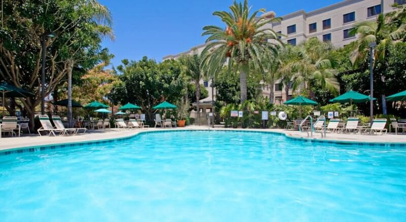 swimming pool   surrounded by palm trees 