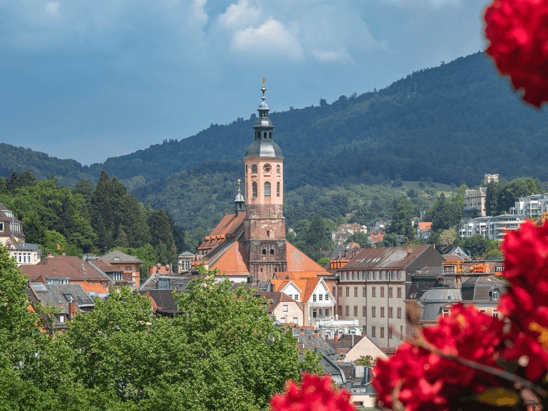 buildings in a lush mountain village an