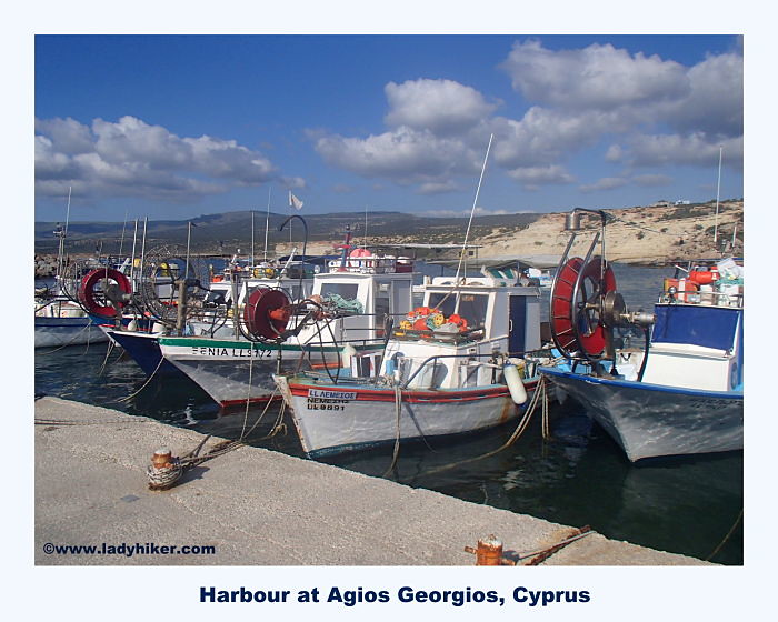 boats docked in water