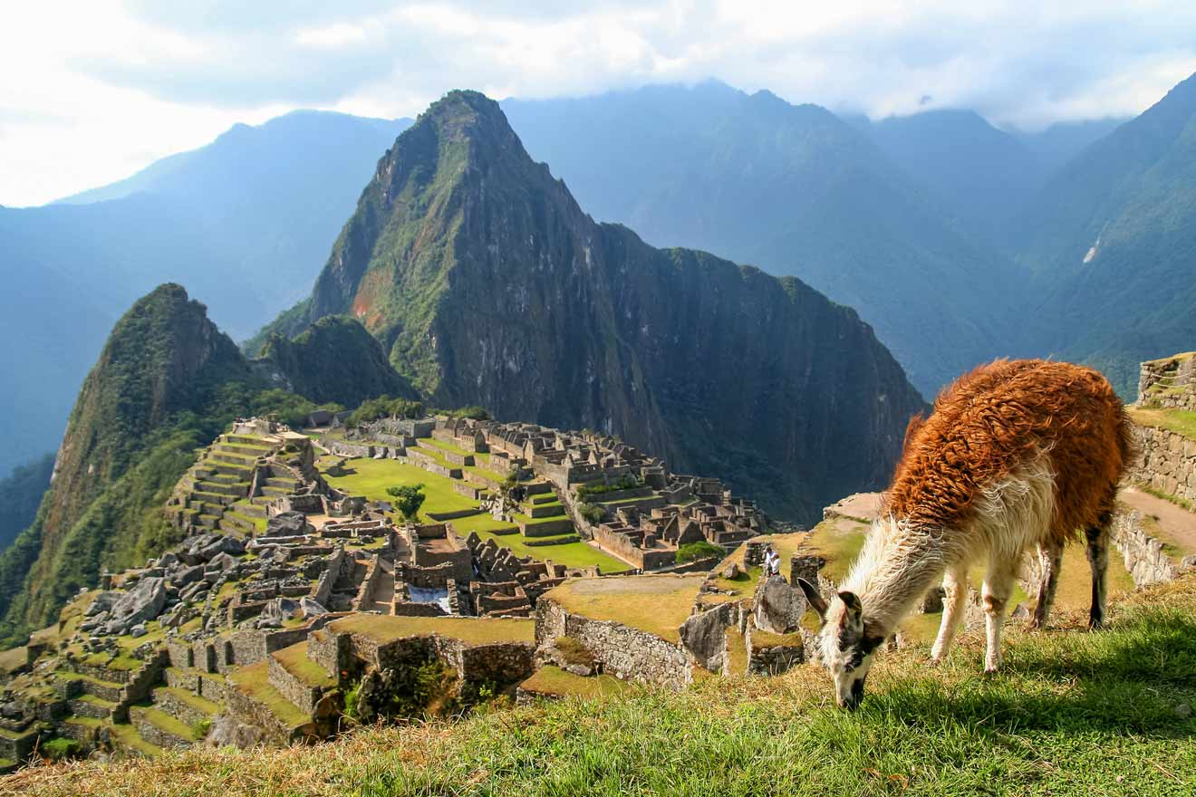 Best Machu Picchu Tours