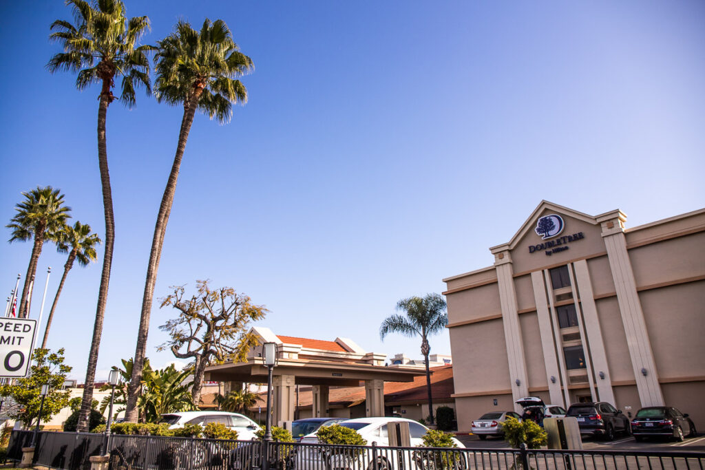 Two palm trees at the entrance to a hotel