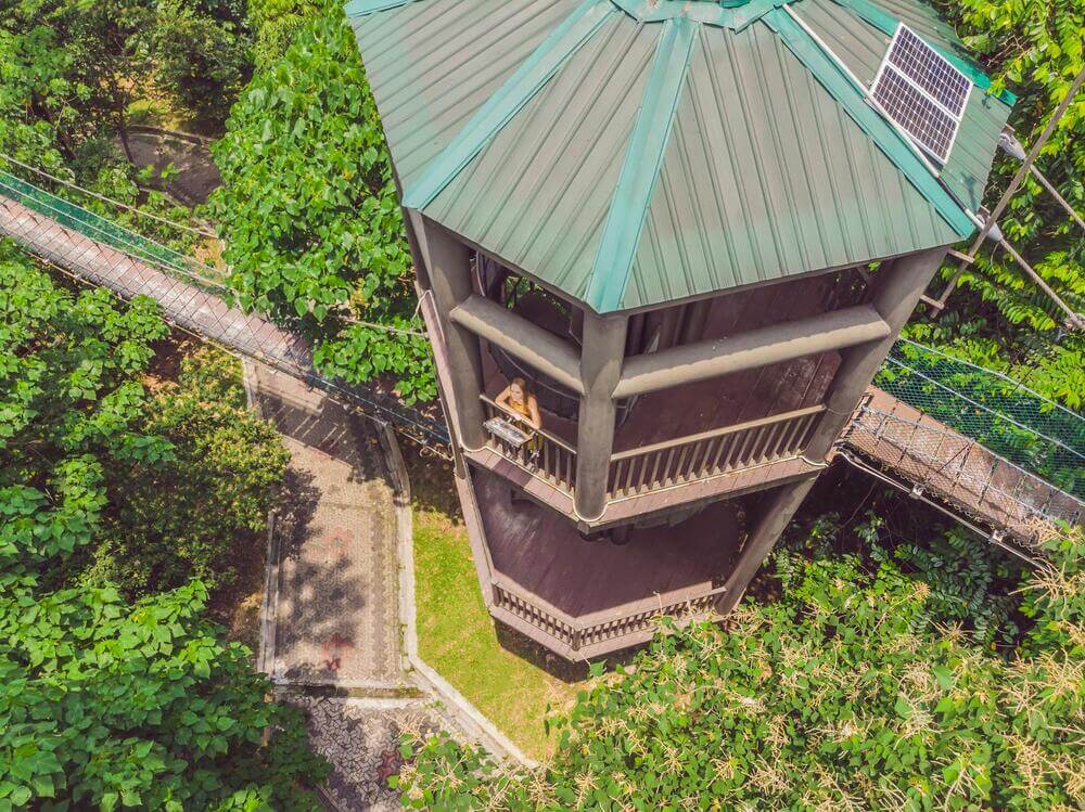 tower and elevated canopy  walkway at eco park