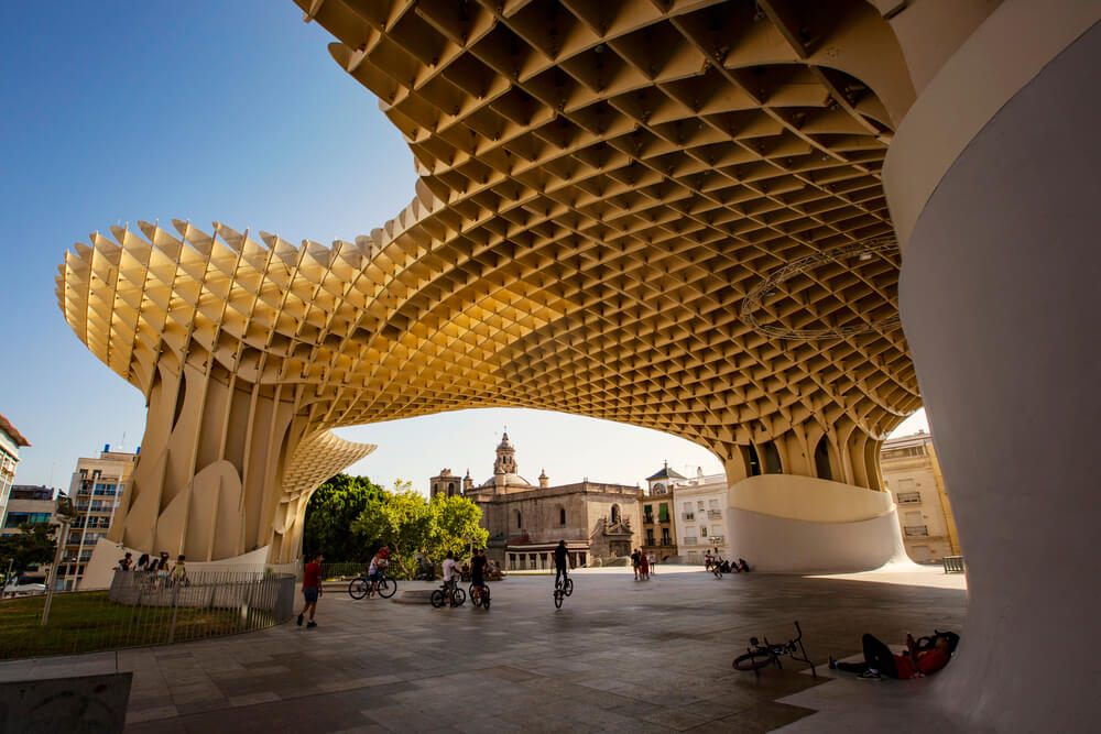 wooden structure of the mushroom sculpture