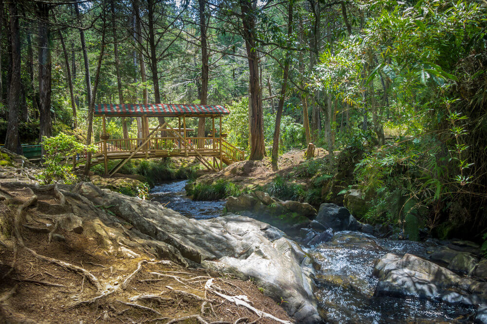 river running over rocks and under a bridge in forest