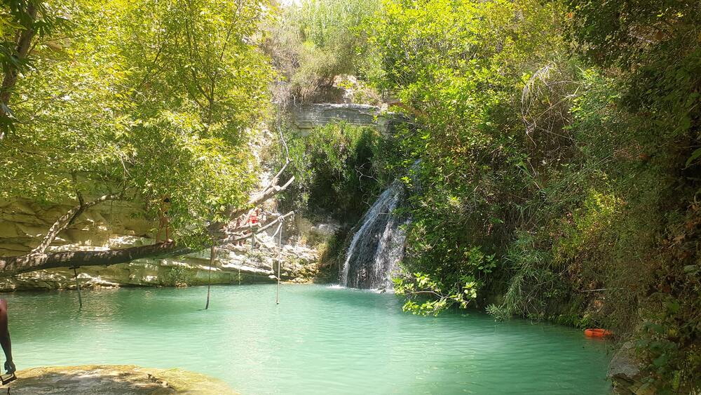 green pool of water in the jungle