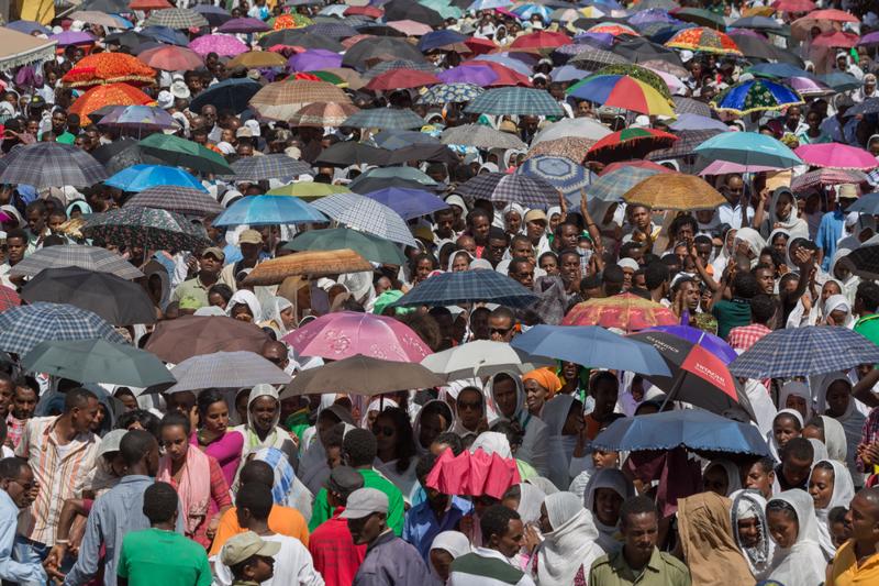 a crowd of people holding umbrella