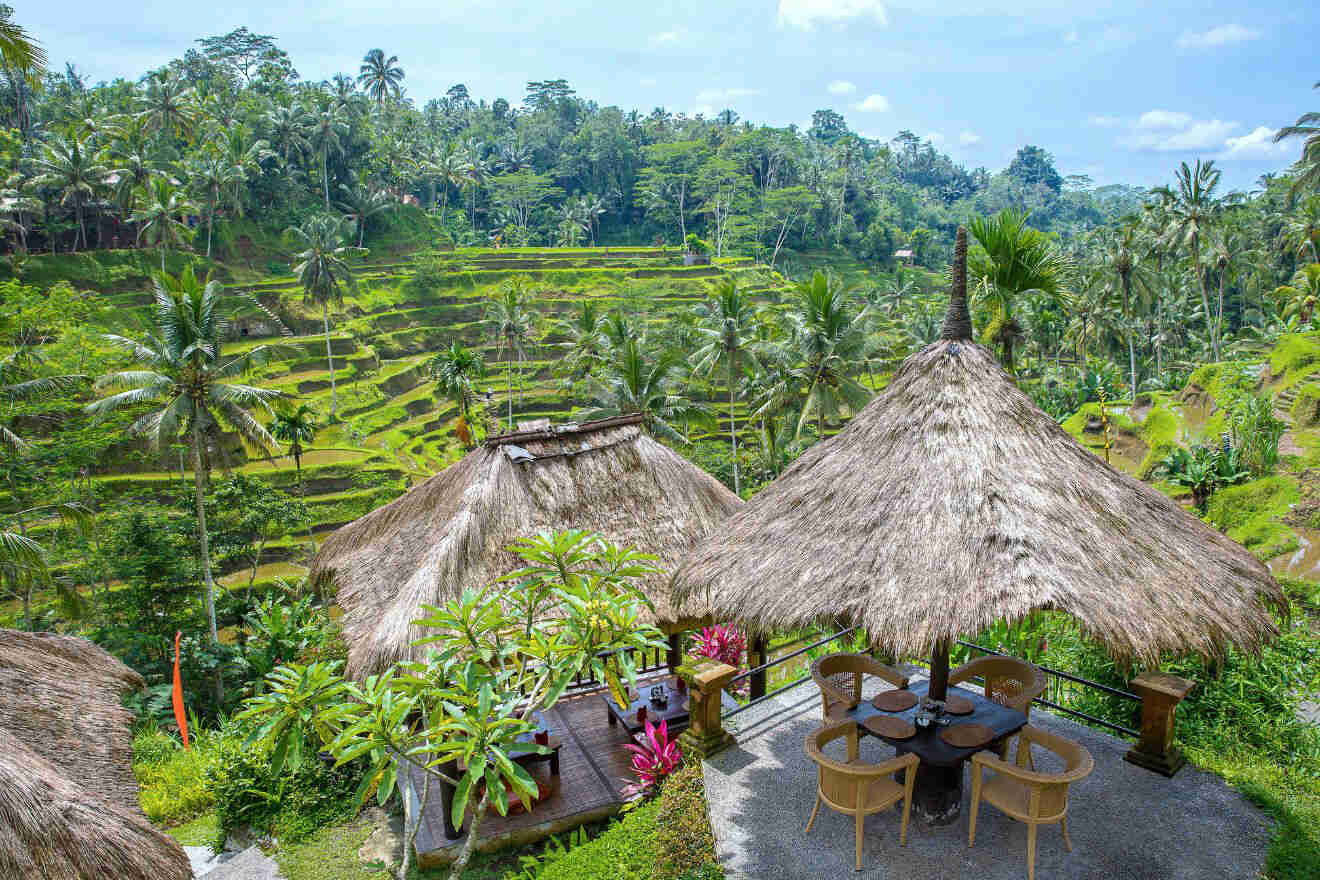 best restaurants in Ubud for dinner