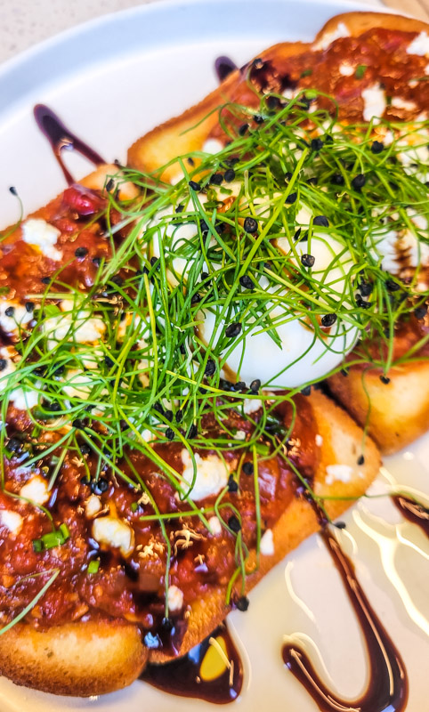 shakshuka toast 