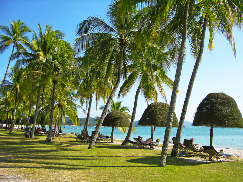 beach chairs under umbrella 