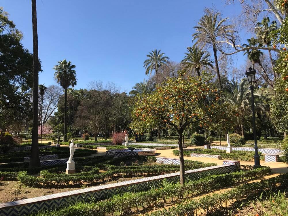 gardens in the maria luisa park