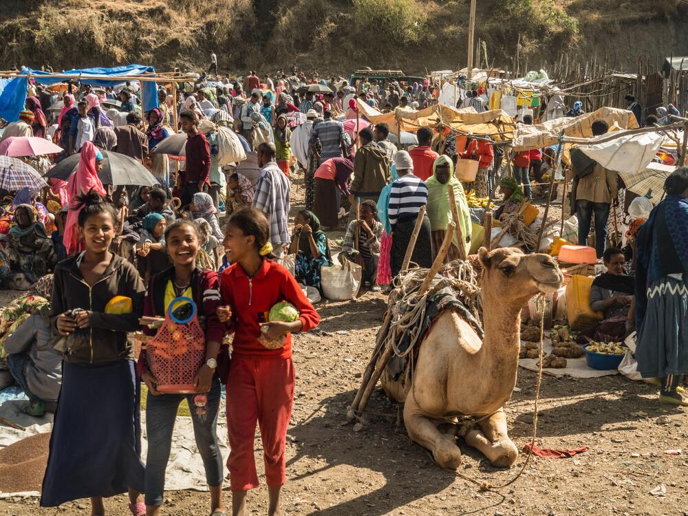 crowds of people and camels in a dirt field