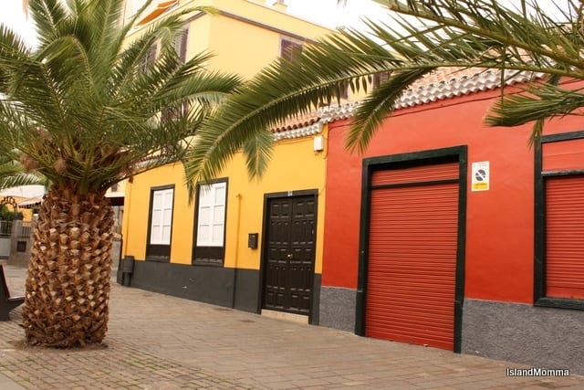 palm trees on a sidewalk
