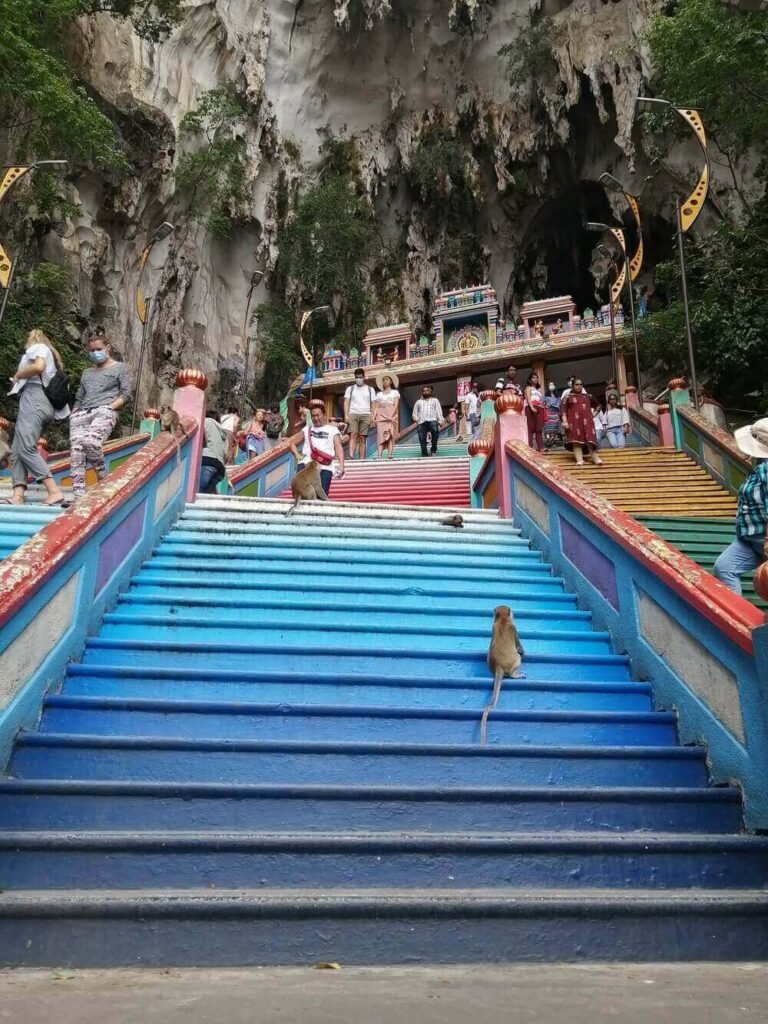 monkey on rainbow steps of batu caves