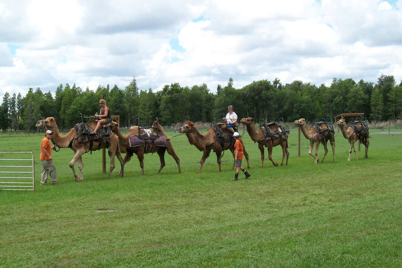 10 Safari Wilderness Ranch in Lakeland