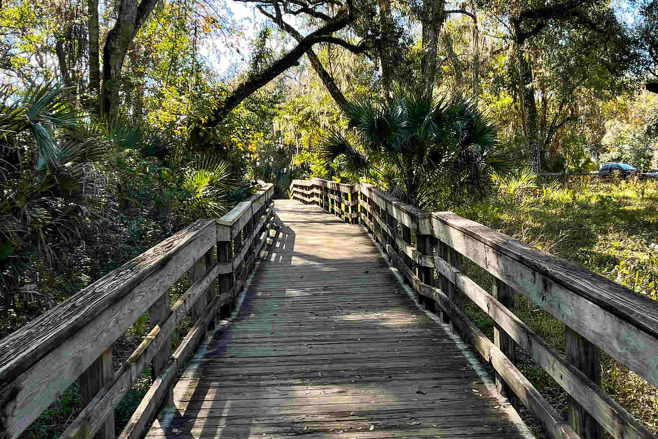 12 best hiking trails in Orlando