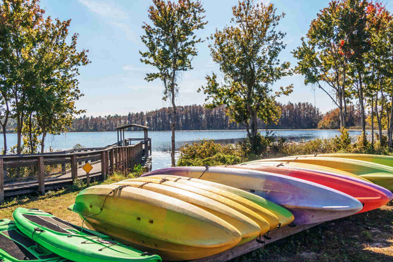 29 Lake Louisa State Park