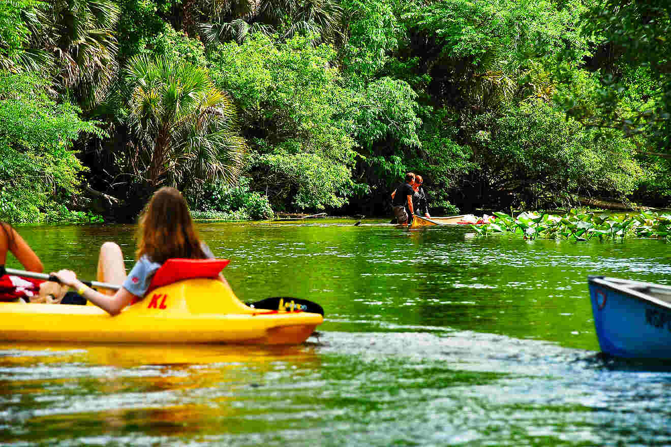 3 Rock Springs at Kelly Park