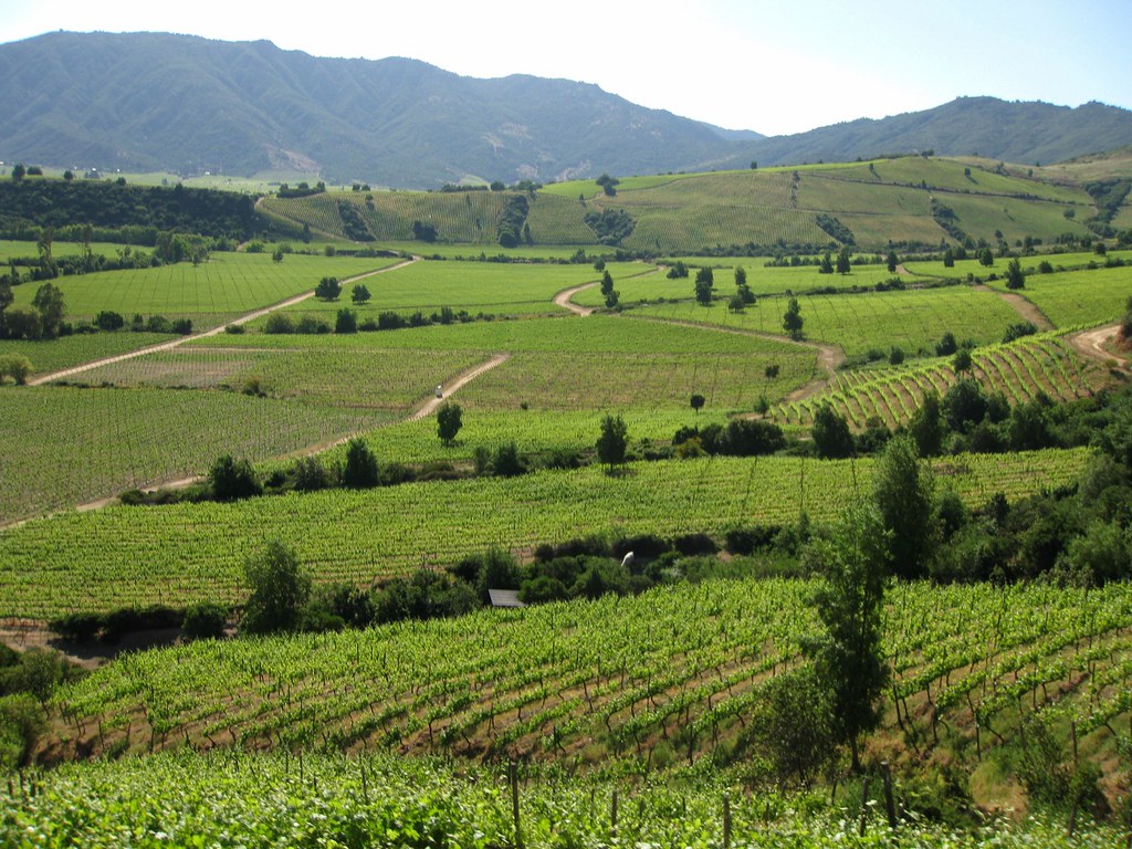 green fields and mountains