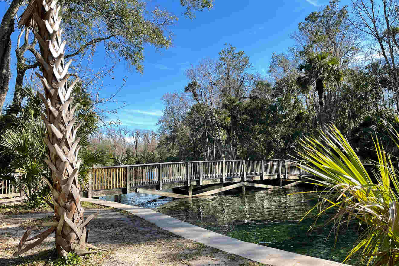 8 Wekiwa Springs State Park