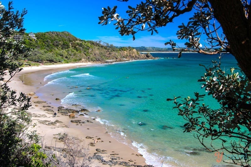 Wategos Beach framed by trees