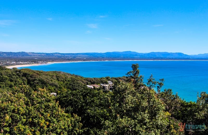 bushes in foreground with beach in background 