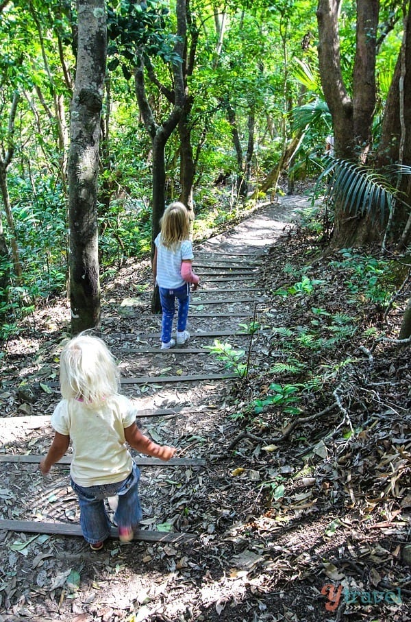 girls walking on forest track 