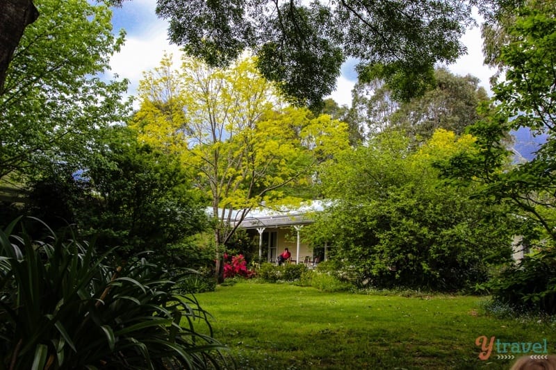 Crystal Creek Meadows cottage surrounded by trees