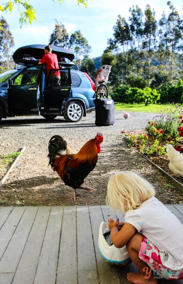 Crystal Creek Meadows, Kangaroo Valley