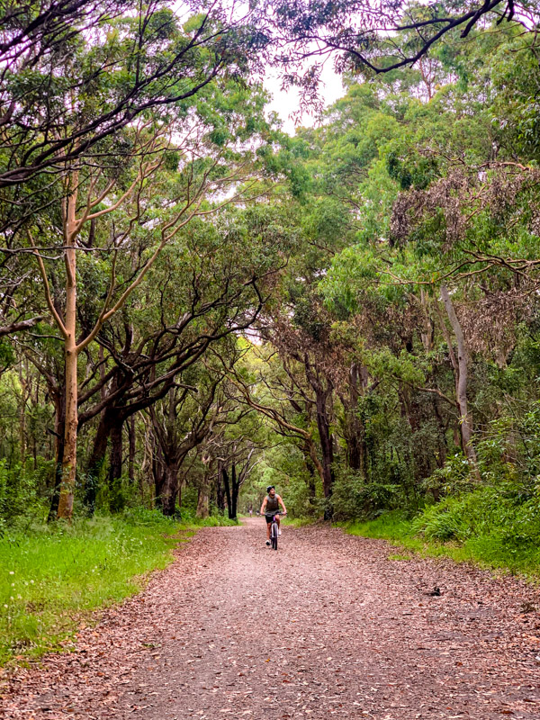 Tyson Mayr riding a mountain bike through Glenrock State Conservation Area, Highfields 