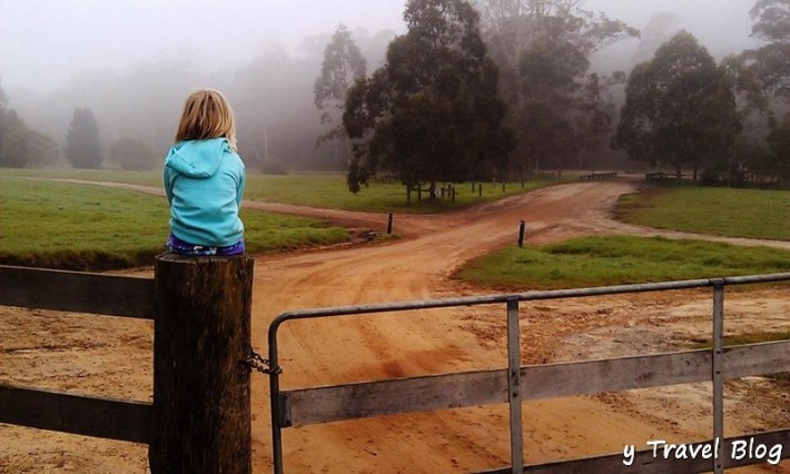 Kalyra watching the horse mustering Glenworth Valley