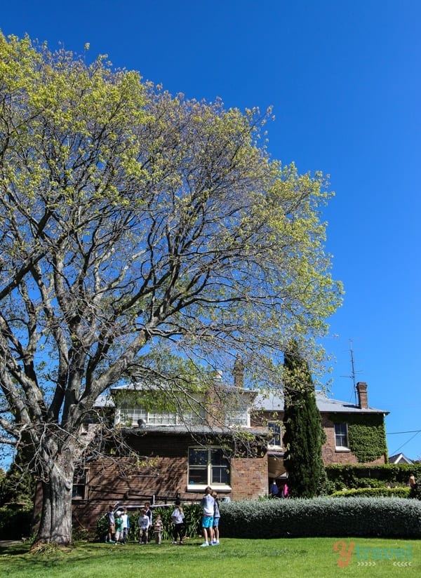 A tree in front of an historic pub in their beer garden